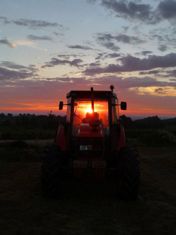 coucher de soleil et tracteur domaine du tane